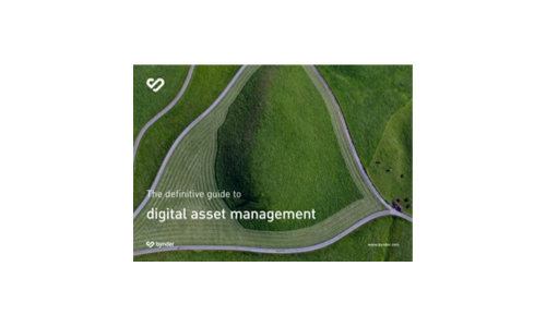La guida definitiva alla gestione delle risorse digitali